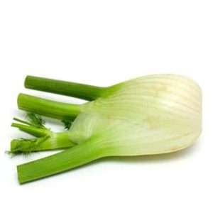bulb fennel