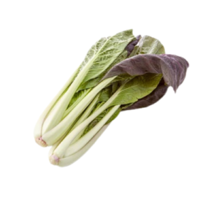 organic radicchio