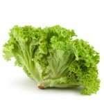 organic lettuce green