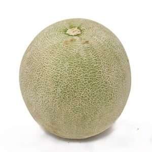 melon medium