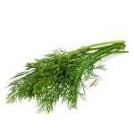 organic dill