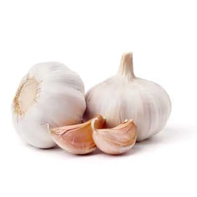 garlic