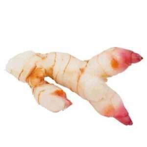greater galangal
