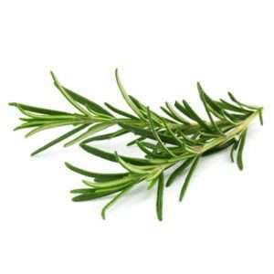 organic rosemary