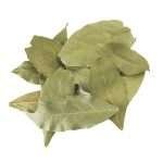 Bay Leaf