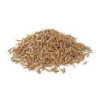 Cumin Seed