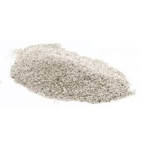 White Chia Seed