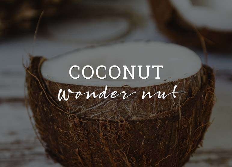 Gifts from Bali - Coconut - Bali Direct