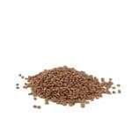 Brown Lentils