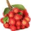 rambutan