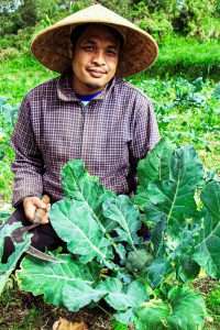 wayan from bukit mesari bedugul