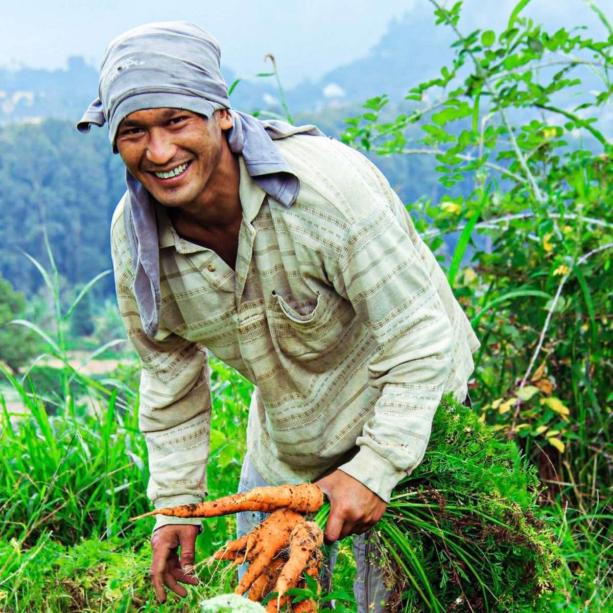 local farmer in bedugul bukit mesari