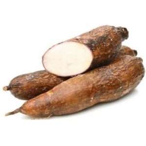 organic cassava root