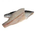 barramundi