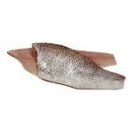 gold band snapper