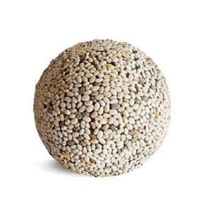 Spirulina Ball