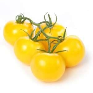 Cherry Tomato Yellow