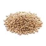 Pearl Barley