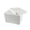 Styrofoam Box