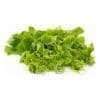 Chayote Leaves