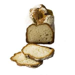 Sourdough Gluten Free