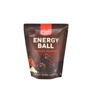Chocolate Cranberry Protein Ball fron IniTempe