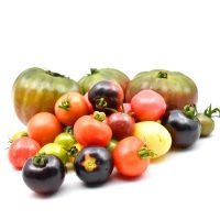 Heirloom Mix Tomatoes puri tomato