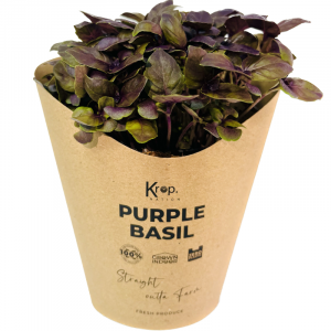 Plant Purple Basil Kropnation