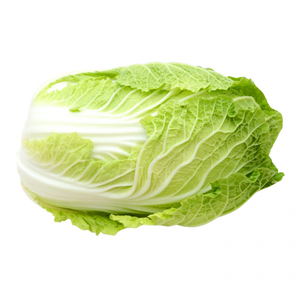 Natural Chinese Cabbage