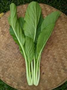 Natural Chaisim