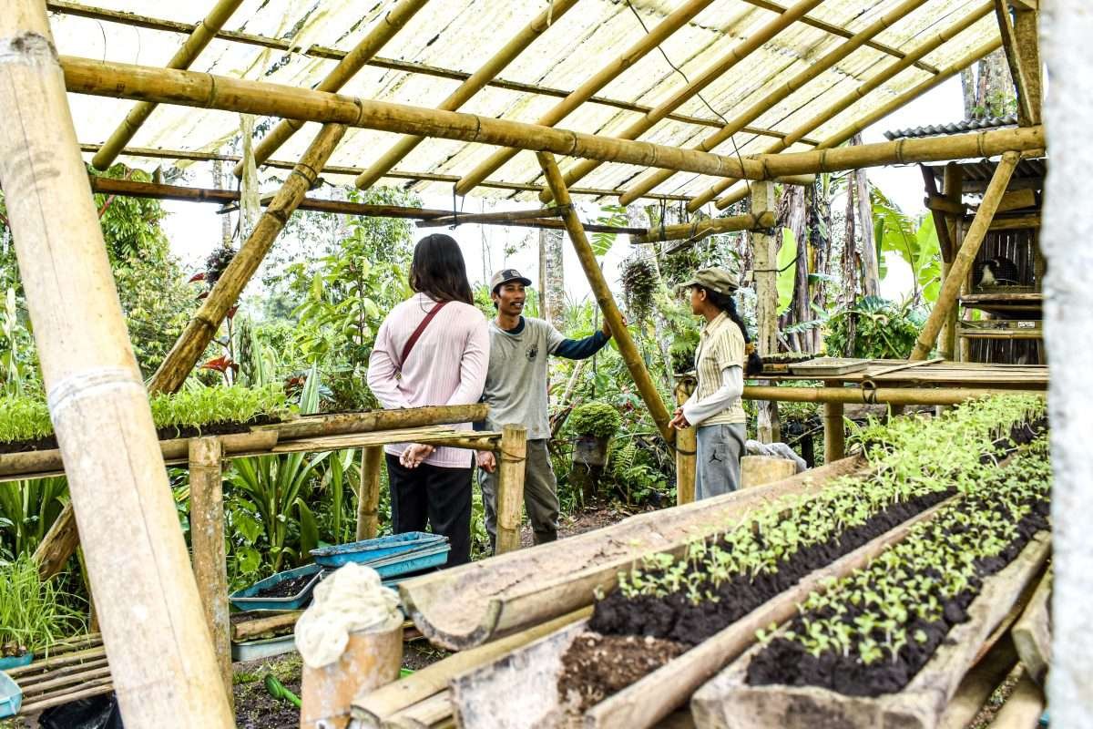 Harvesting Hope: Bali’s Sandan Natural Farm Cultivates a Better Future