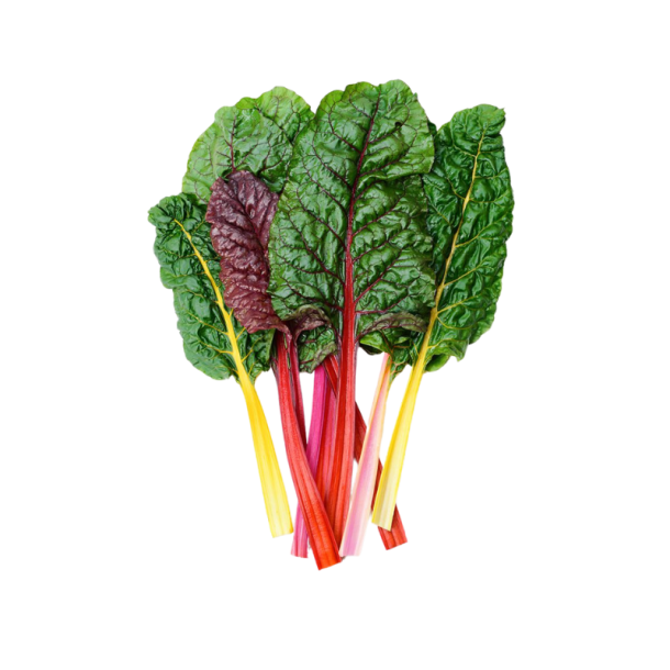 Rainbow Swiss Chard from Bali Grown