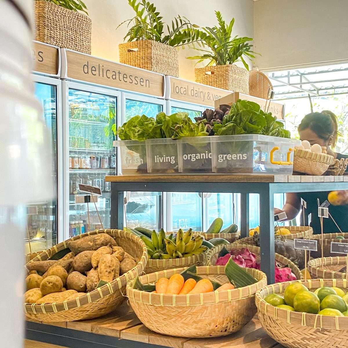fresh living organic green and other vegetables in Bali Direct Store Bumbak