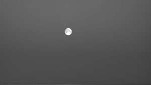 the moon in black and white