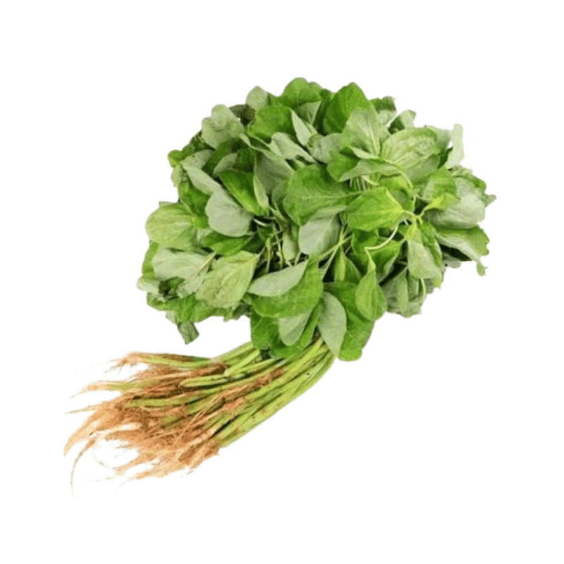 BKM Bumi Sehat Donation - Organic Bayam Root Green