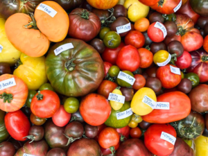 heirloom tomatoes at bali direct store and their varieties