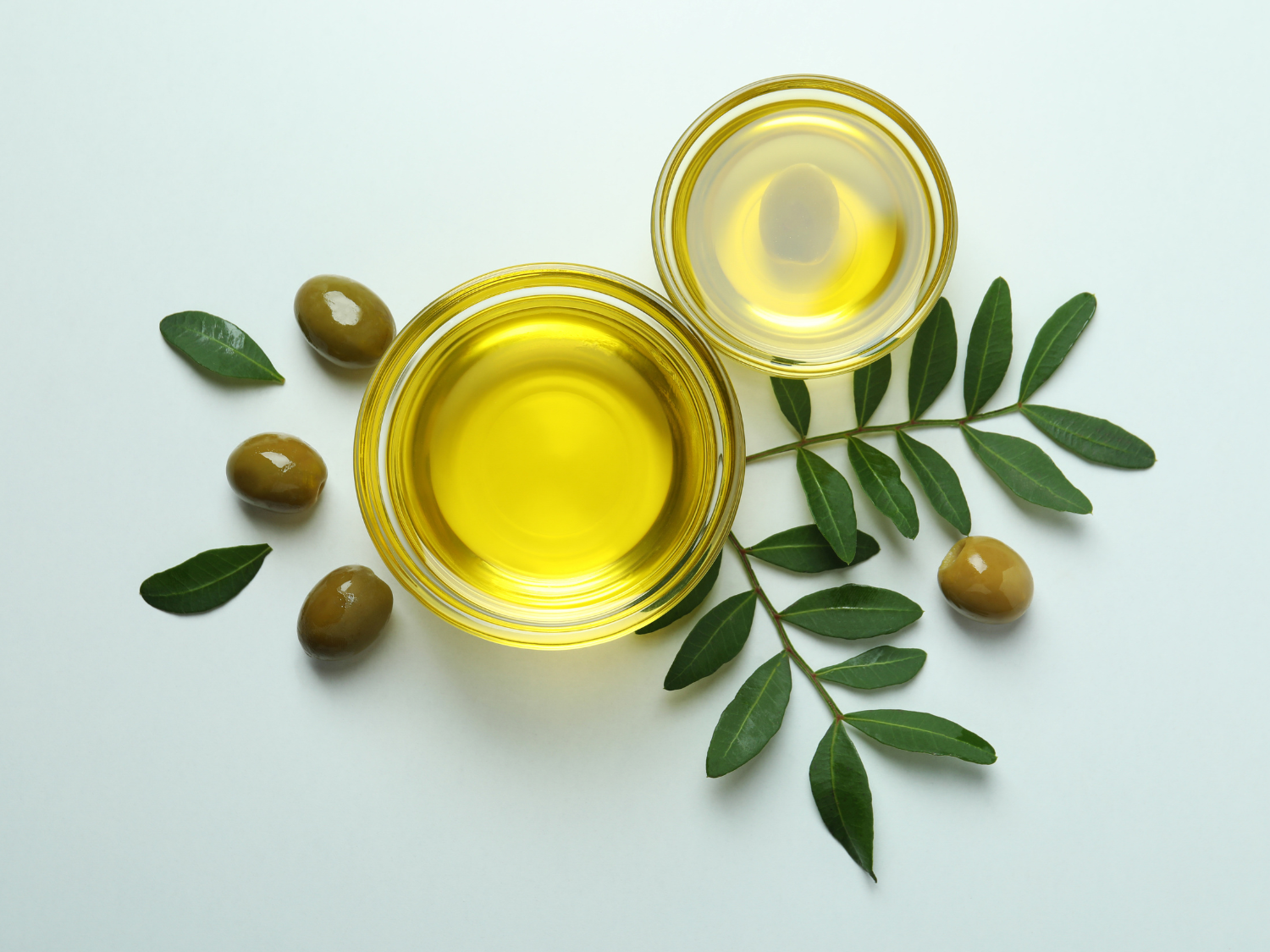 olive oil with bright background with olive leaf and olive fruit