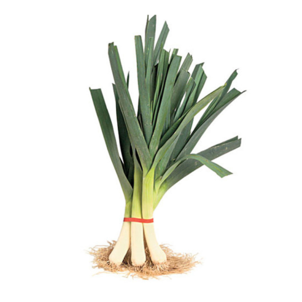 Organic Leek