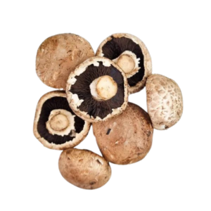 Mushroom Portobello from Wholesale Market
