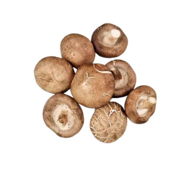 Mushroom Shiitake from Wholesale Market