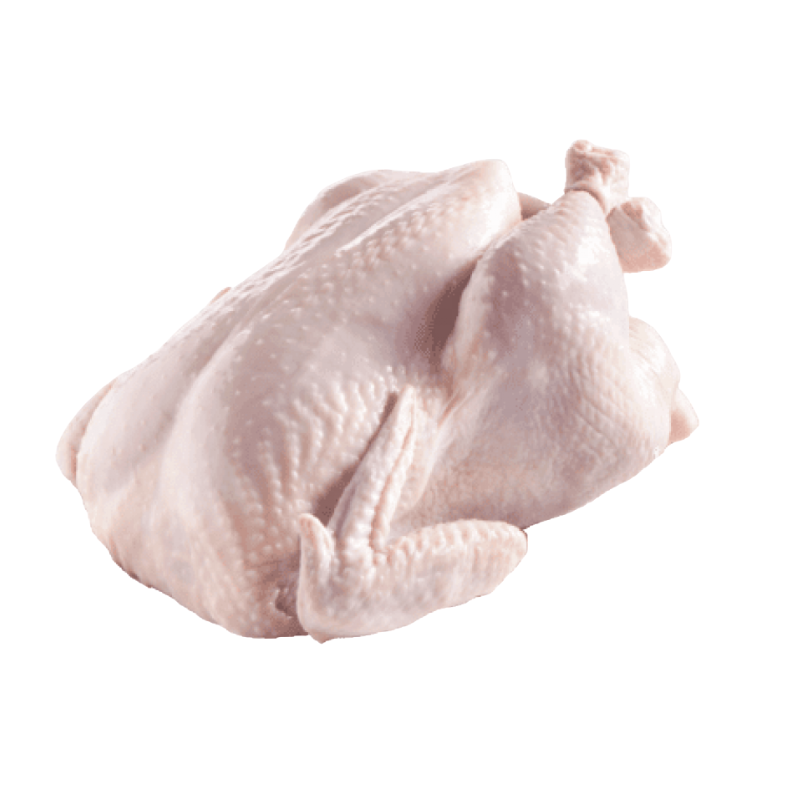 NTP Probiotic Chicken Whole 900g